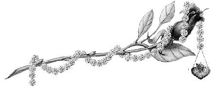 c7f6c08f1eea6374fc49c0fd88818191200