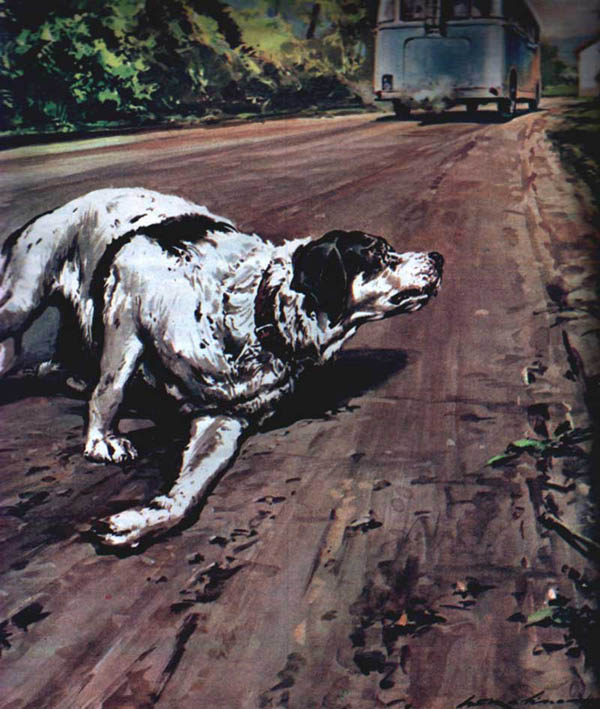 Foto per la storia di Fido