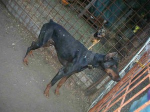 l_d1cd25c890a5531e42324e9957910629