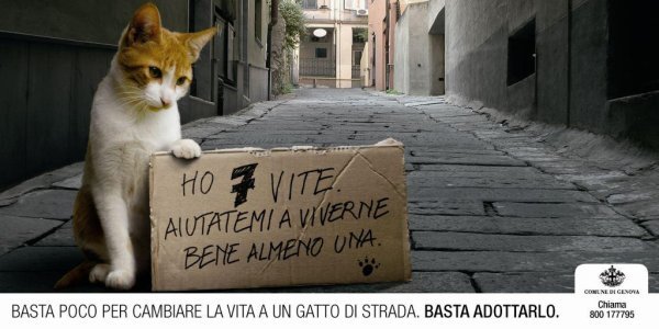 y1pGSBVRUcNUicA4VT5RE-ZV-0VC4fLGvPYJMS6zM2plM0Fws95fBCjW6yy-pqvjEvX