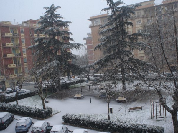 21050_1280584348826_1656571069_713730_4244350_n