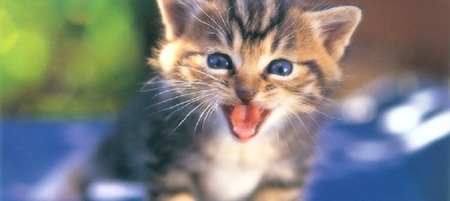 __TFMF_4qtwoe55sfljbcahwiloa1m5_509d9b2b-a985-4ff2-8d07-5634dbf2d8cb_0_interna