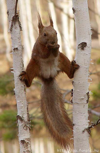 173432285_9e7348a096_o