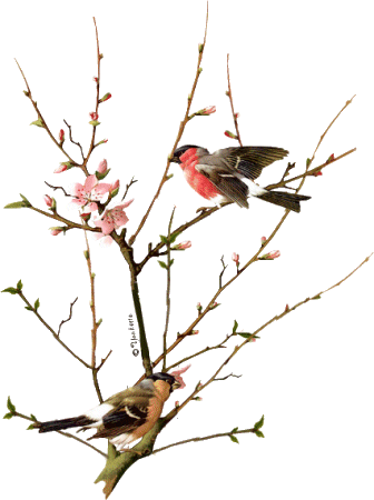 l_17c758d56c834cffa38ff1338368b86b