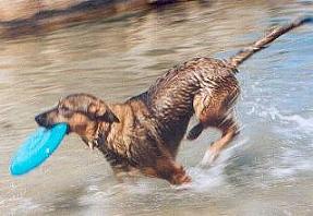 Lalla prima dell'incidente