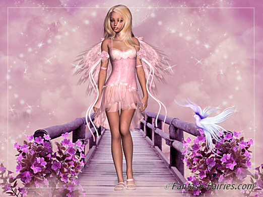 pink_fairy