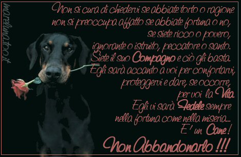 mare_cani5