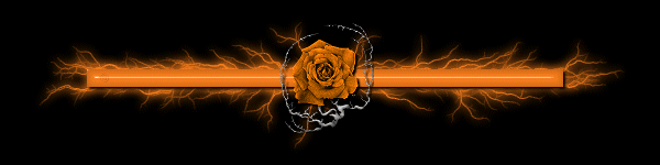 080114061252152411607635