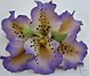 Capodimonte - Orchidea viola.giallo . porc.