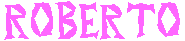 ROBERTO__10753
