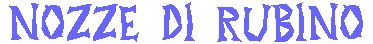 NOZZE_DI_RUB_16169