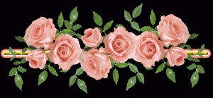 divisori_cespuglio_rose_rosa_animato_01