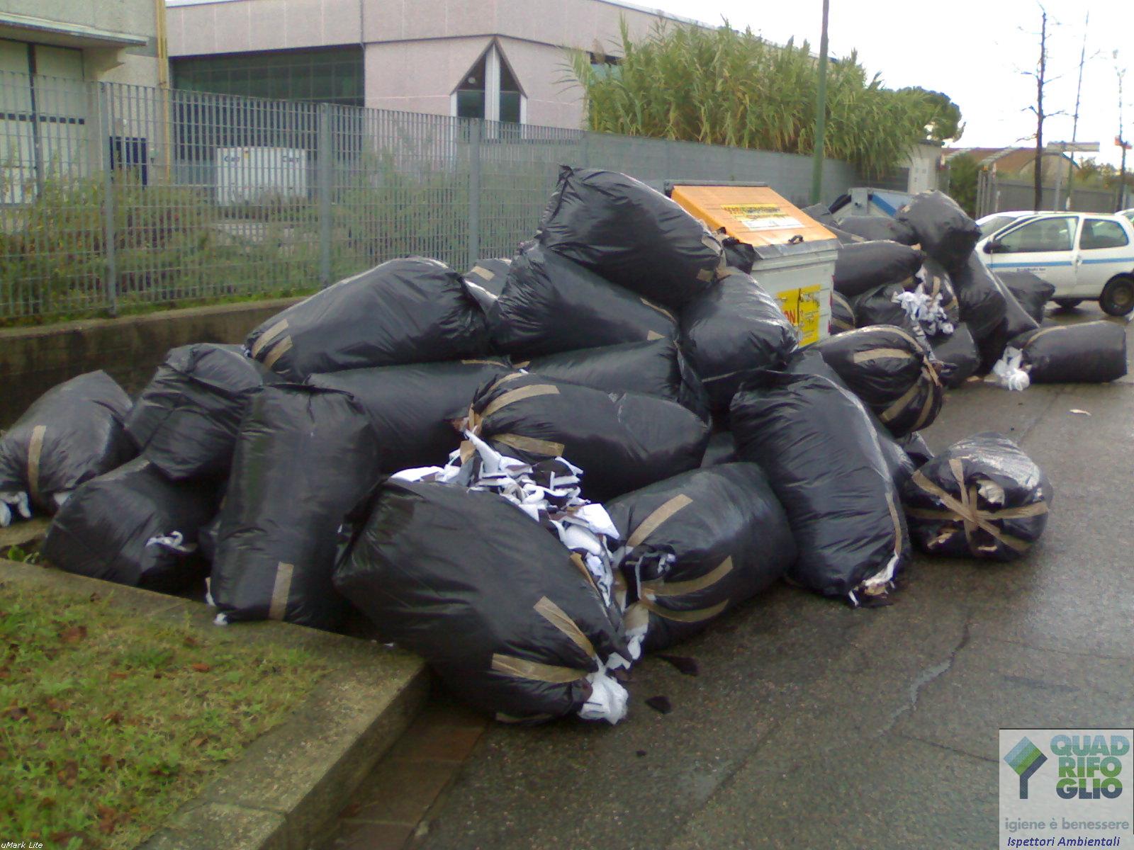 immondizia