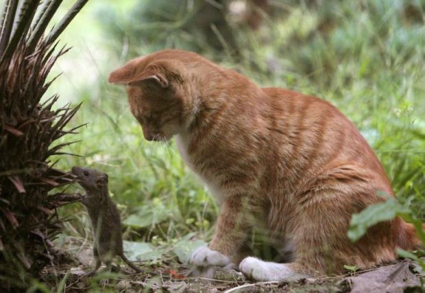 reuters142414772810132731_big