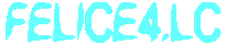 FELICE4LC_00898