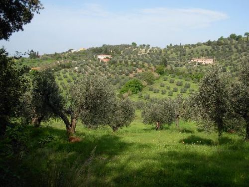 terreni-varie-campogalliano-in-vendita-17-274193