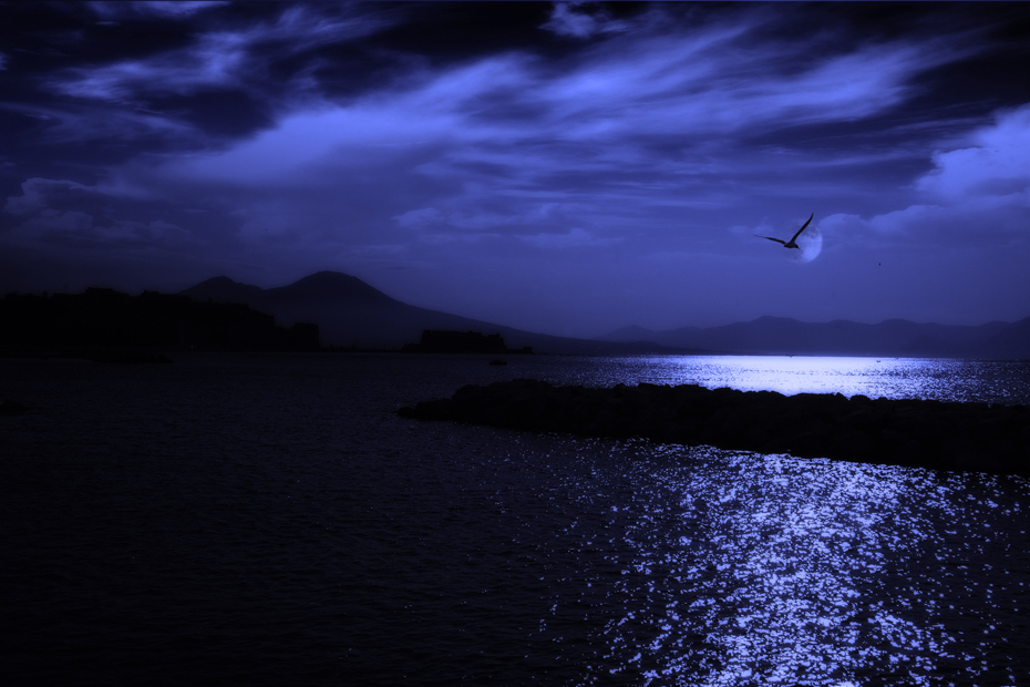 BLUE NIGHT