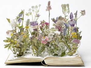 Mazzi di fiori vari su un libro - opere di carta