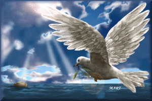 Colomba della Pace 2