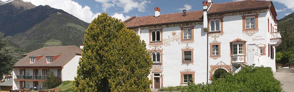 castel Pflanzenstein(1)