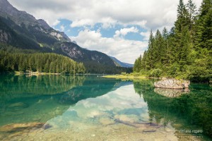 11665363_914615048606456_2644225033902423895_n