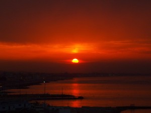 11737992_1033927549973194_1940953605303210200_n