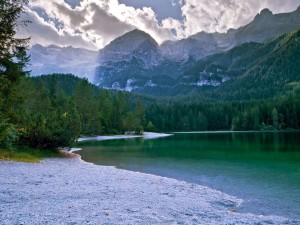 11742769_915939281807366_8994993963924391022_n