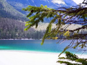 11870752_10204320078994763_3649946957959535440_n