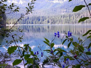 11870768_10204320079594778_8743836207075510166_n