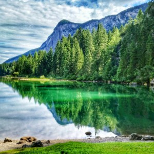 11889405_932533040147990_7003738057986066937_n