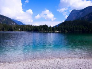 11892276_10204320079274770_1846237119943733582_n