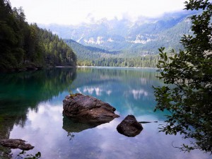 11898603_10204320080794808_2568109996863829563_n