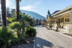 Old 1929758_898977616823518_2221093623947718821_n