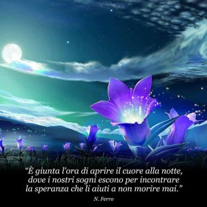 12642556_10153467707699472_8275890731176114831_n