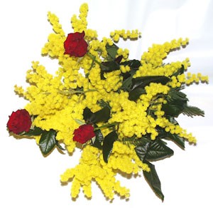 20123884639_3-rose-rosse-mimosa