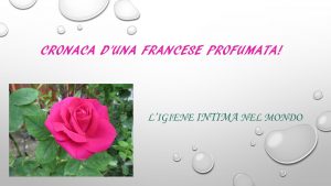 Cronaca d’una francese profumata!