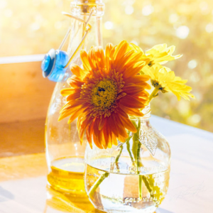 15439824_1145588015554187_1913642402313988335_n