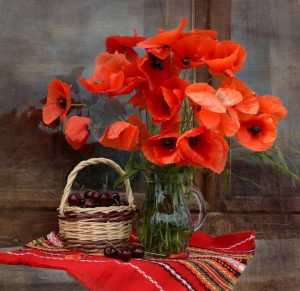 15541433_1152309138215408_4998618710084764511_n