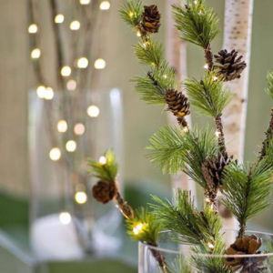 15578624_1148086831970972_4225969018880895798_n