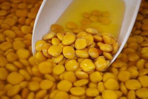 14095801_1163774910349466_3793770158378862677_n